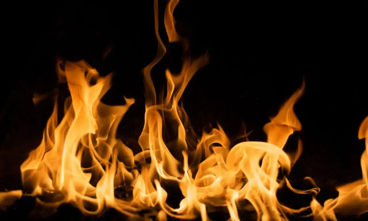 Ai Image To Video Generator